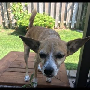 Meet your Posher, Brianna